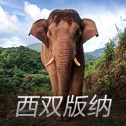 郑钦文前八竞争对手退赛！斯瓦泰克追平纪录，04年小将成历史首人